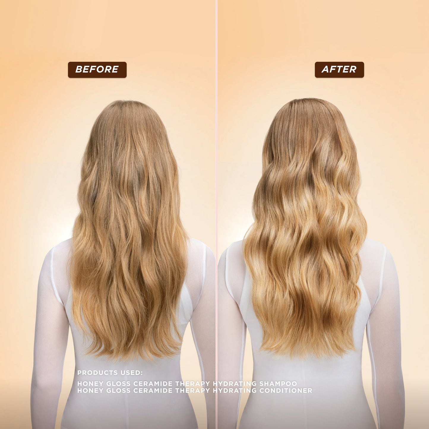 Honey Gloss Ceramide Therapy Hydrating Shampoo