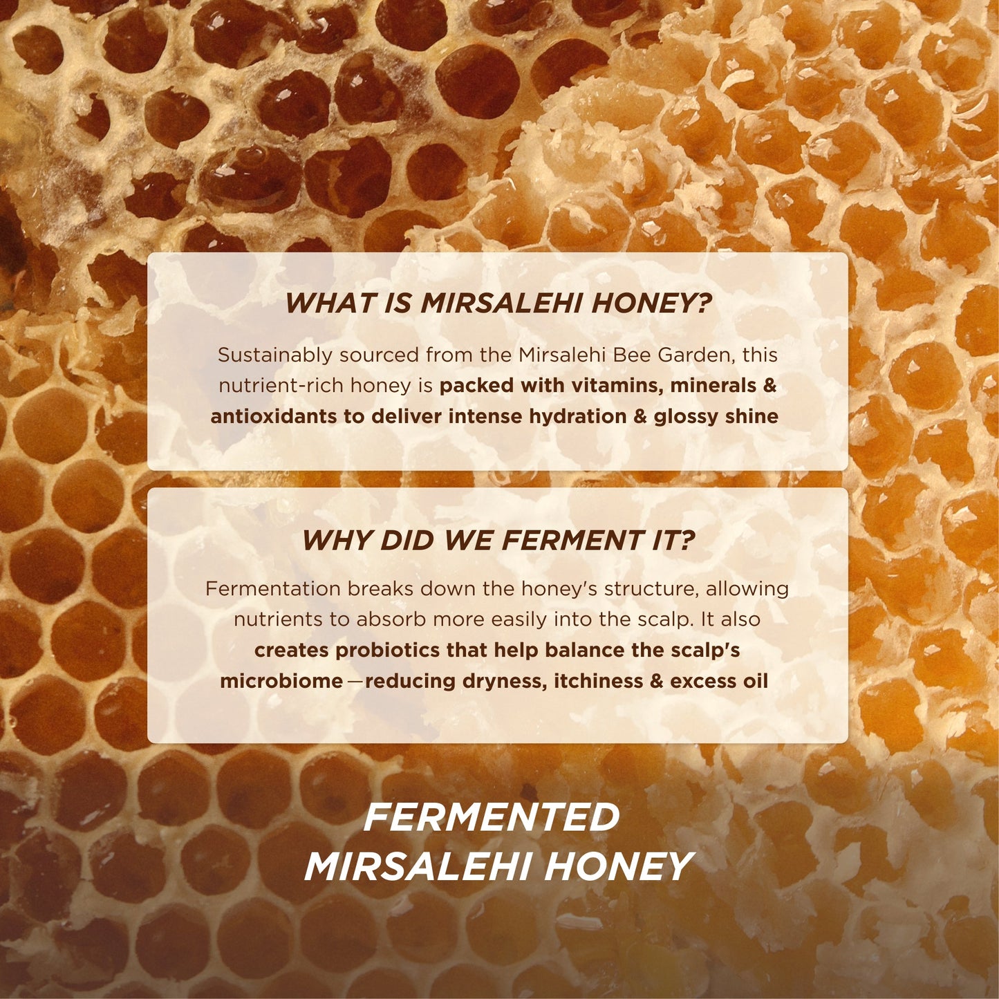 Honey Gloss Ceramide Therapy Hydrating Shampoo